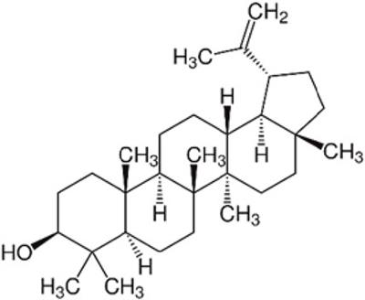 In-depth analysis of lupeol: delving into the diverse pharmacological profile